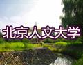 金花手机版下载