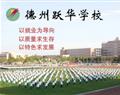 金花手机版下载