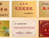 金花手机版下载
