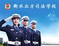 金花手机版下载
