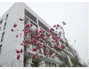 地址：其他