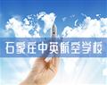 金花手机版下载