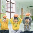 本站按公开材料组织页面
