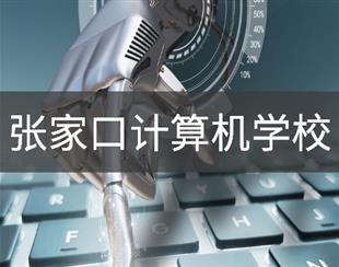 金花手机版下载
