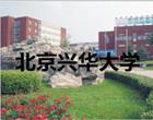 金花手机版下载