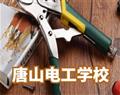 金花手机版下载