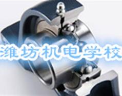 相关阅读