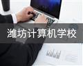 金花手机版下载
