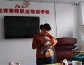金花手机版下载