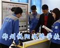 金花手机版下载