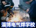 金花手机版下载