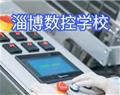 金花手机版下载