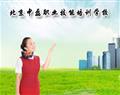 金花手机版下载