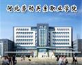 金花手机版下载