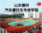 金花手机版下载